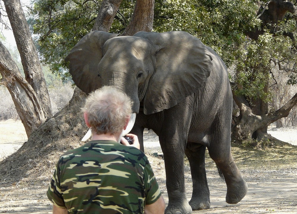 Sigi und die Elefanten am Lower Zambezi - Zambia