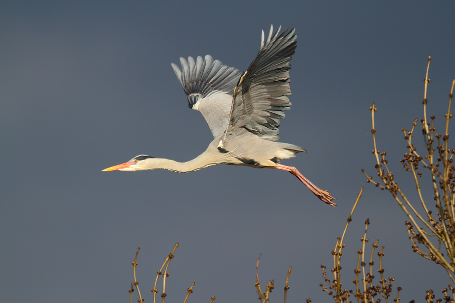 ~ Der Abflug ~