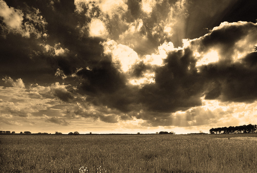 Regenwolken im Anflug