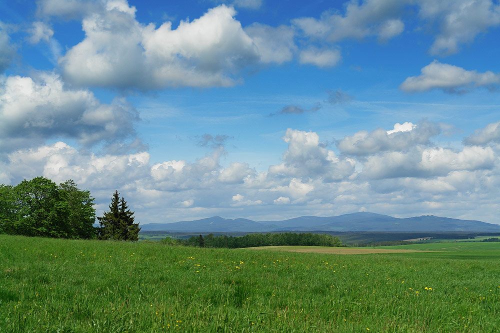 Blick auf den Blocksberg