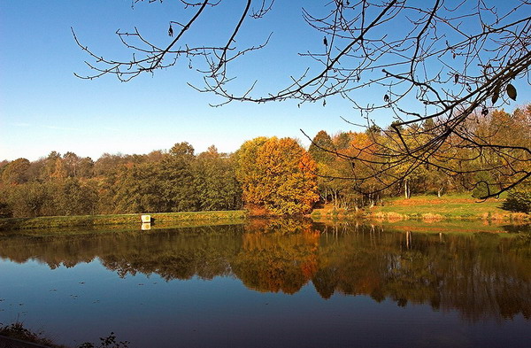 Am Wingertsweiher