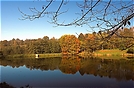 Am Wingertsweiher