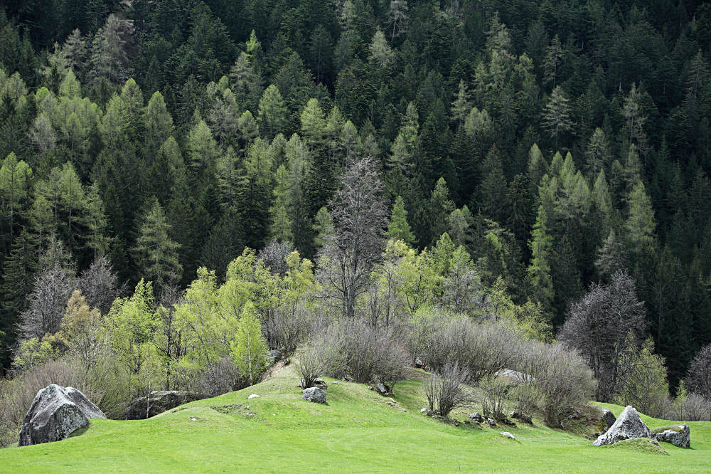 Dreiecke im Bergell