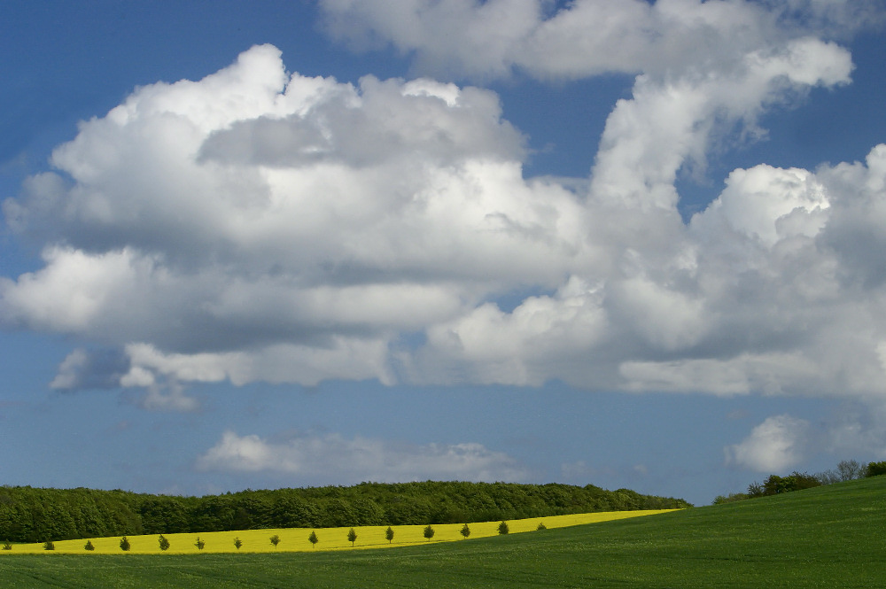 Auch auf Rügen