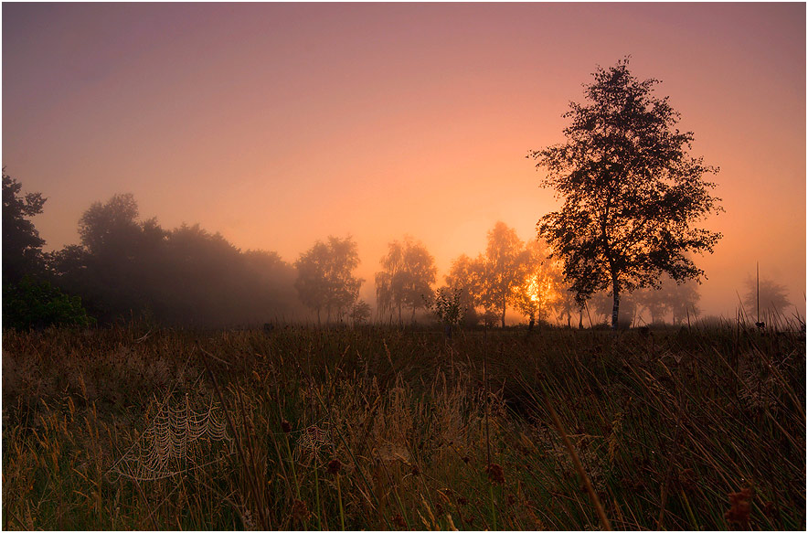 Morgenstimmung ND