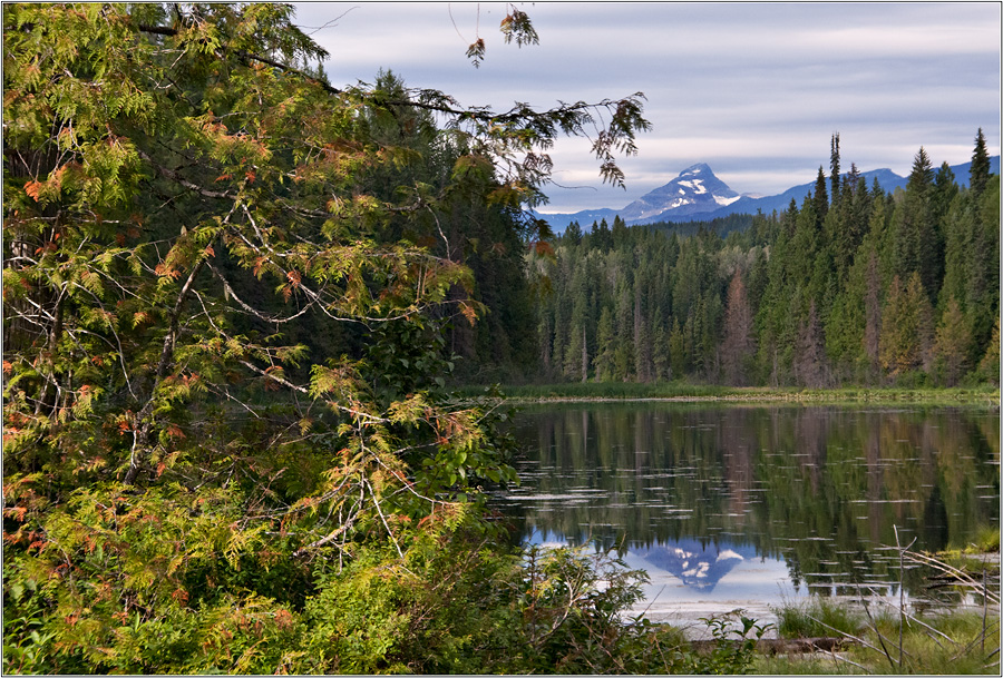 Shadow Lake