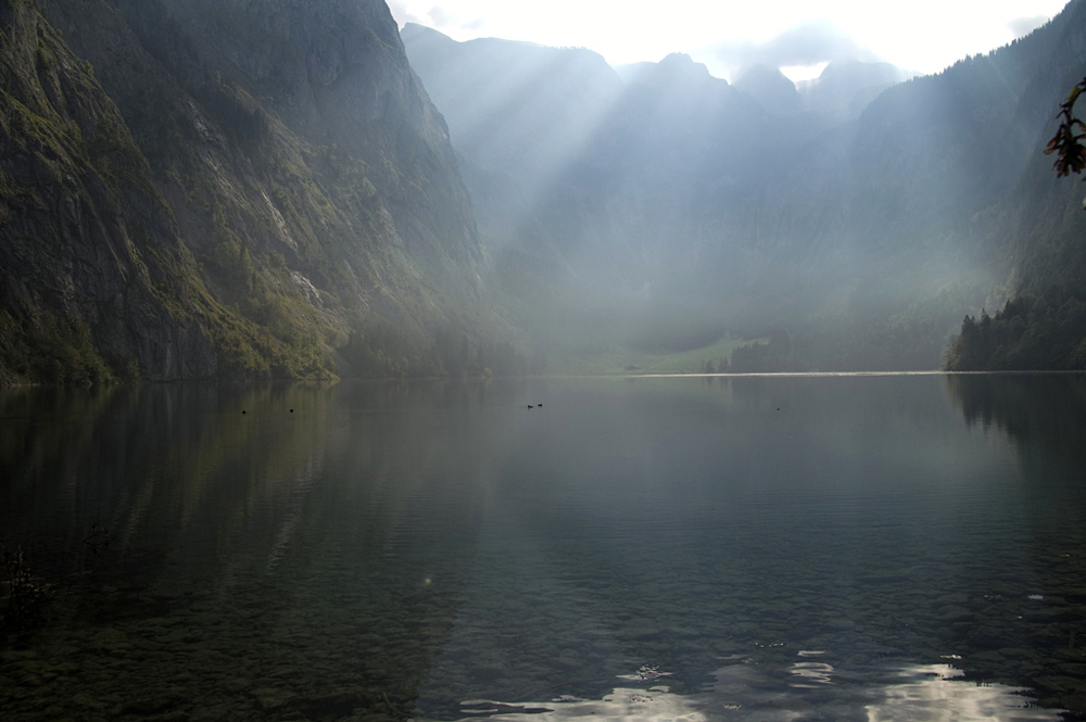 Morgenstimmung