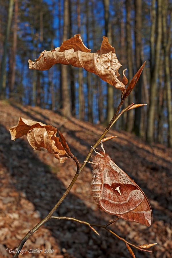 verborgen in Licht und Schatten