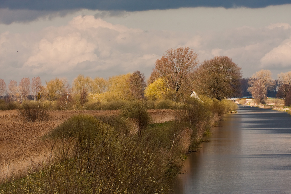 Variante II der Lewitzlandschaft...