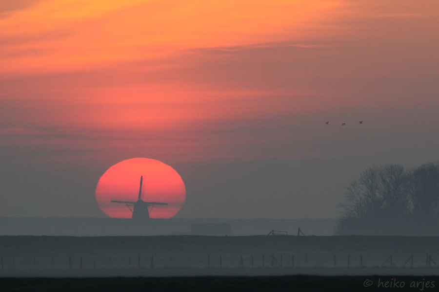 Texel mal anders...