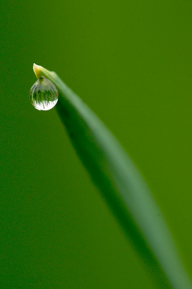 Wassertropfen