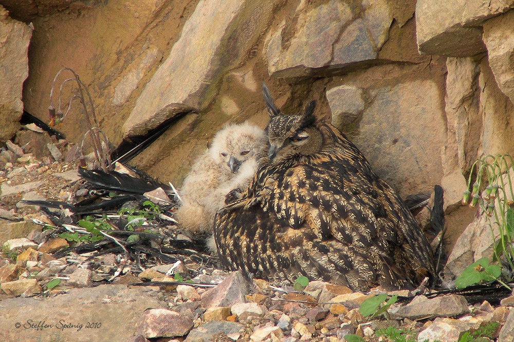 "Kuscheln mit Mama" ...