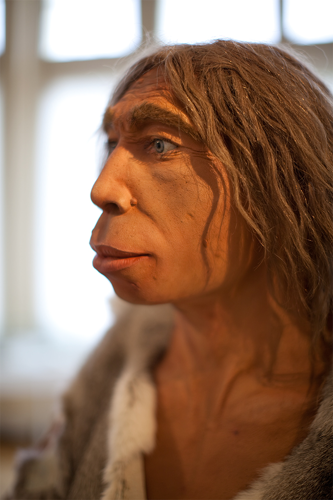 Die Neandertaler leben . . .