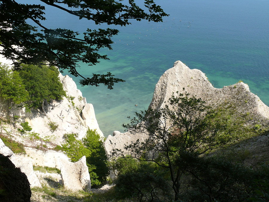 Kreidefelsen auf Moen (DK)