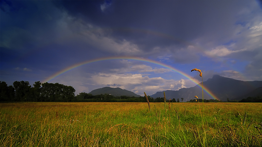 Regenbogenstimmung