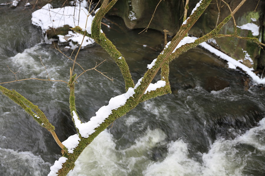 Vorfrühling im Wesnitztal