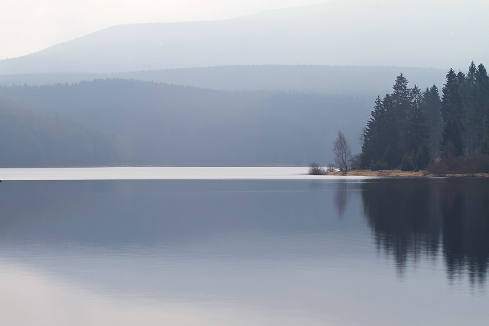 ungestörte Natur