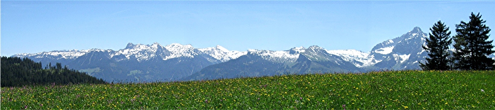 Berg-Panorama