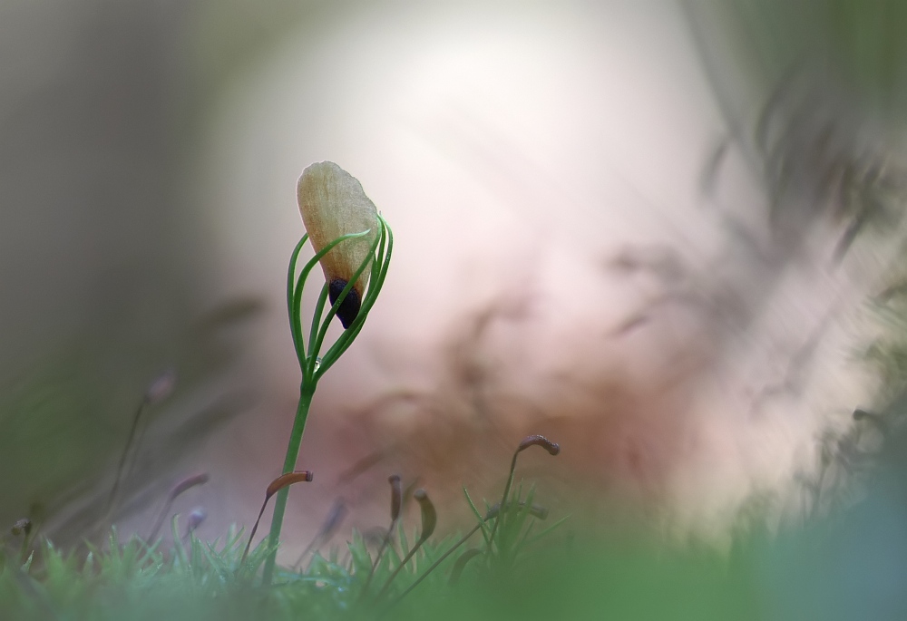 Holding a new life...