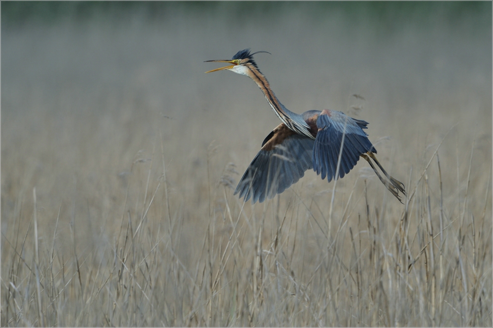 final approach