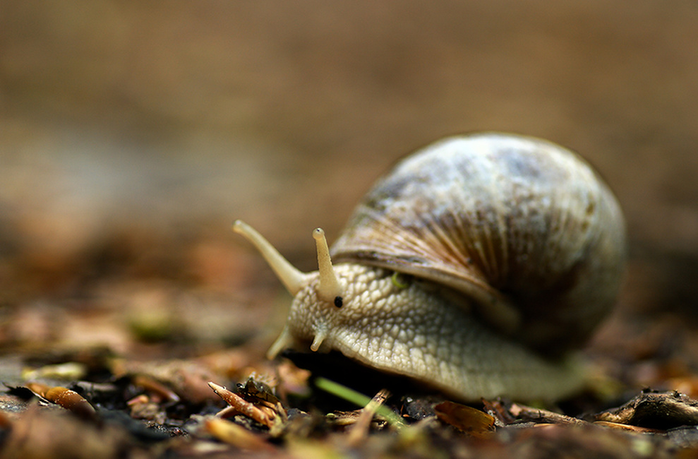 _13.05.2010____07:19_