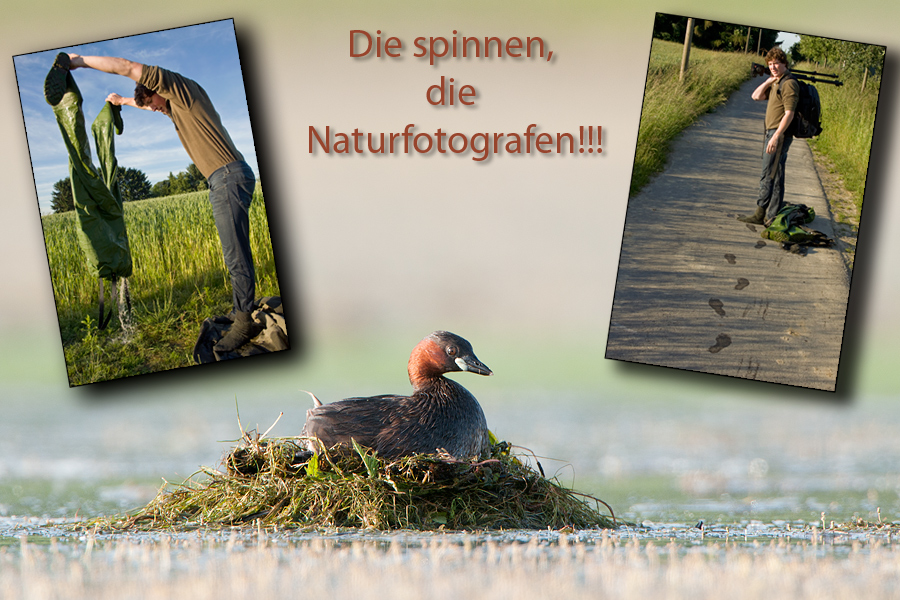 ~Die spinnen die Natufotografen~