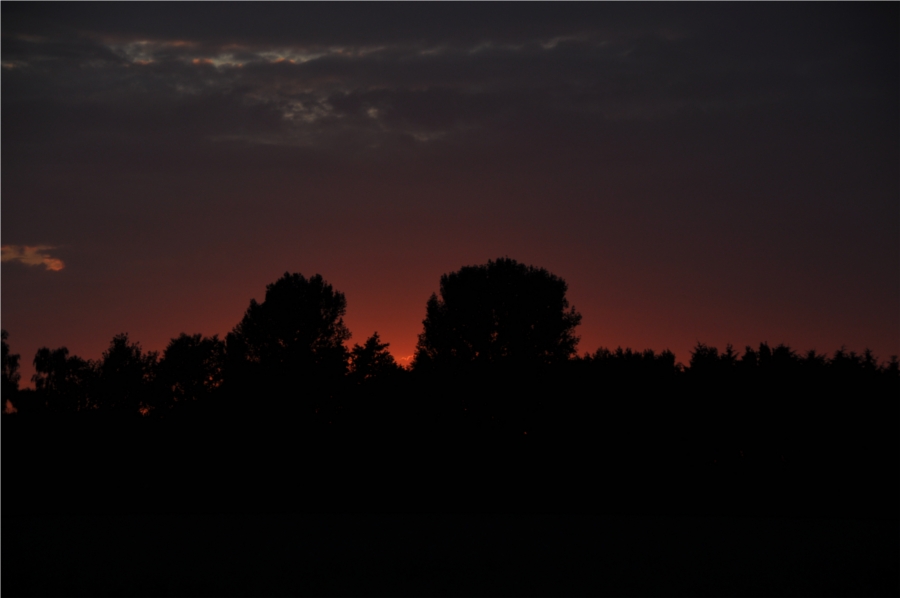 Abendstimmung