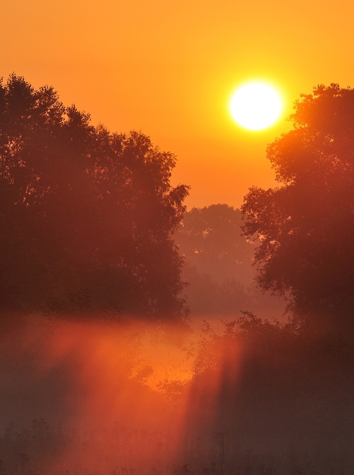 Sonne und Nebel