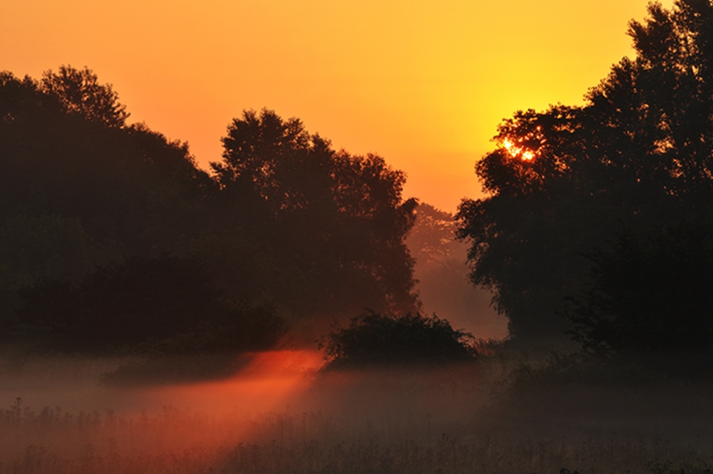 Sonne und Nebel I