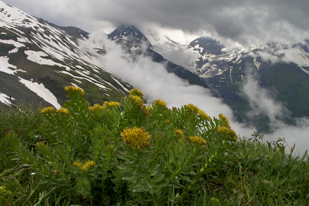 Hohe Tauern