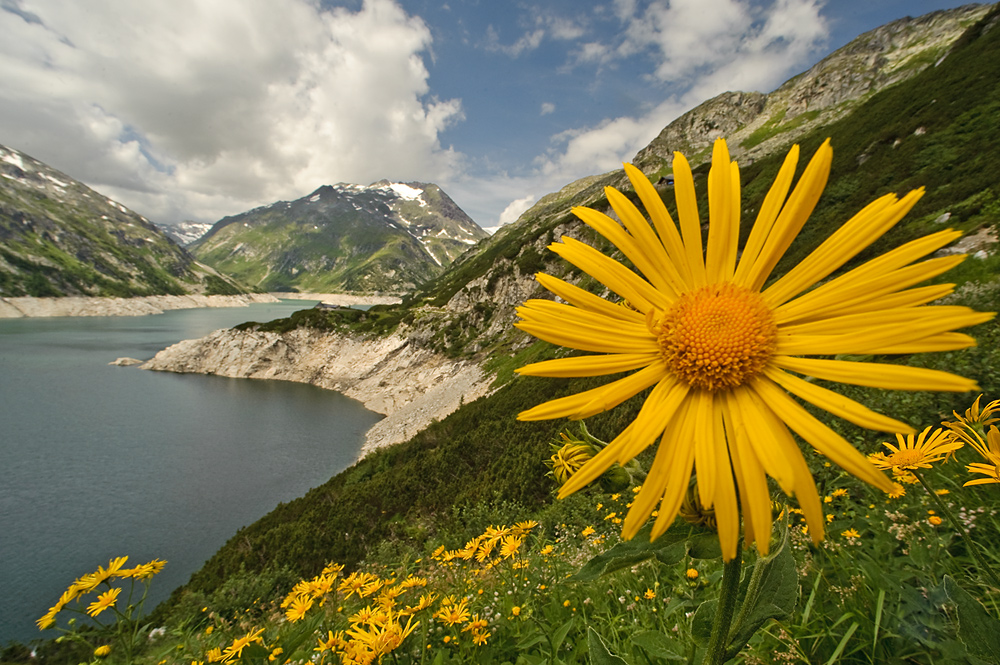 Kleine Sonne