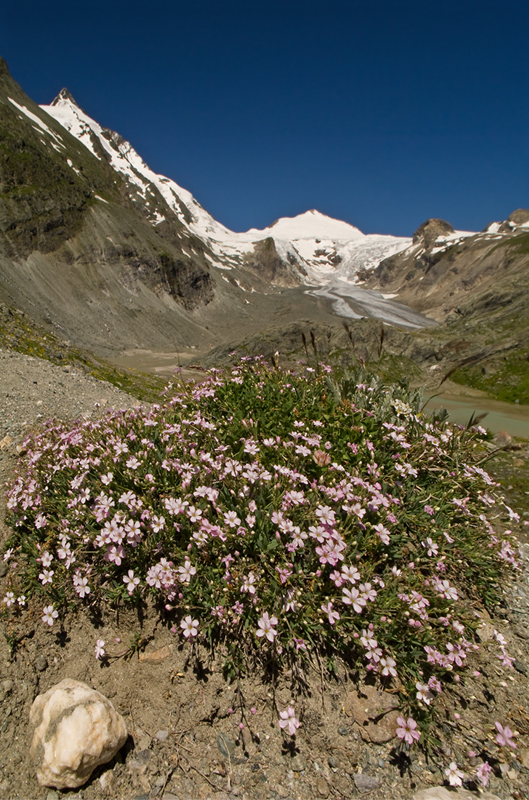 Großglockner und Pasterzegletscher