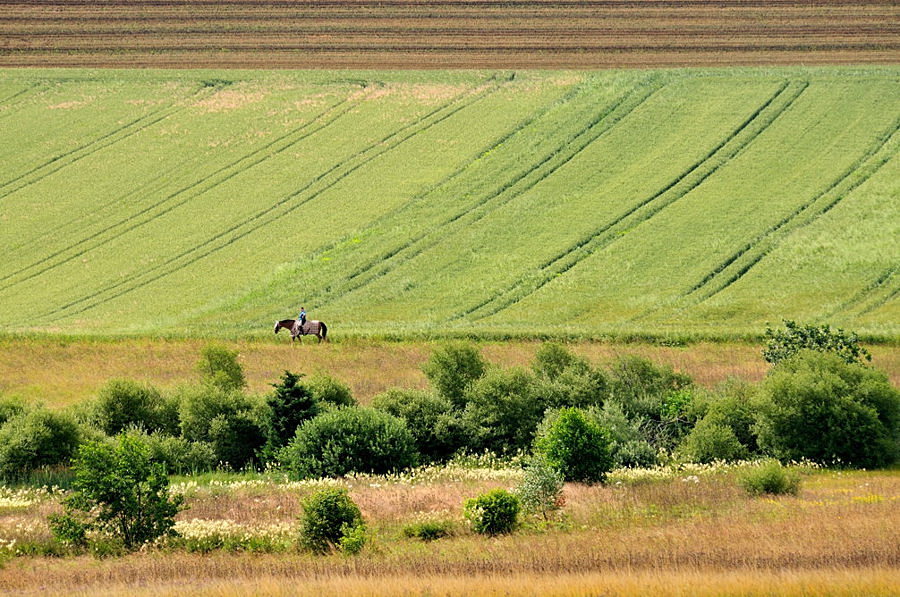 Natur oder Kultur ?