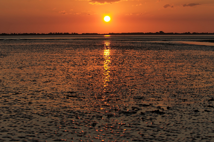 Sonnenuntergang im Watt