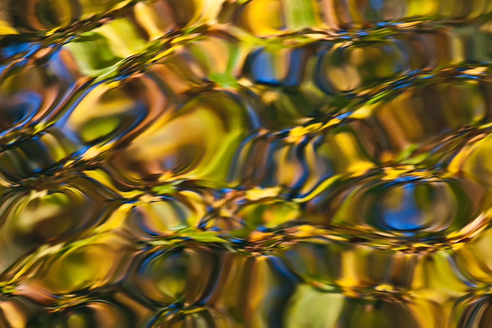 Herbstfarben im Wasser