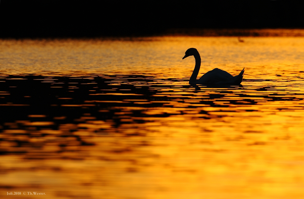 Sundowner am See