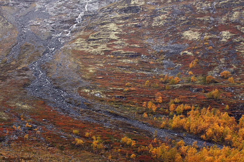 Jotunheimen