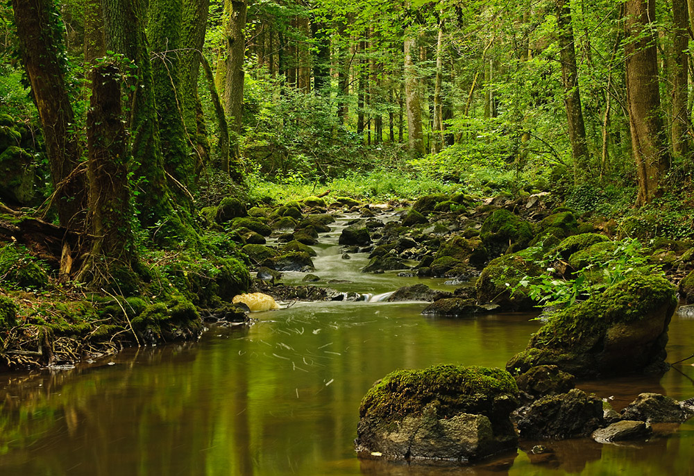 Ein Nebenfluss des Amazonas ....