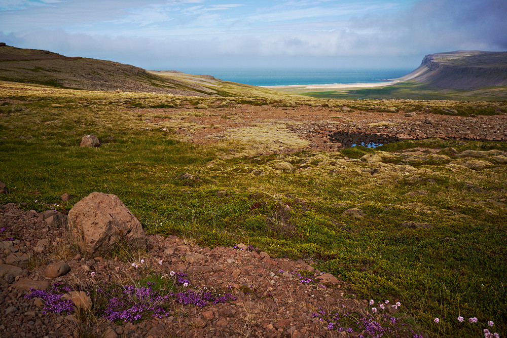 Breiðavík