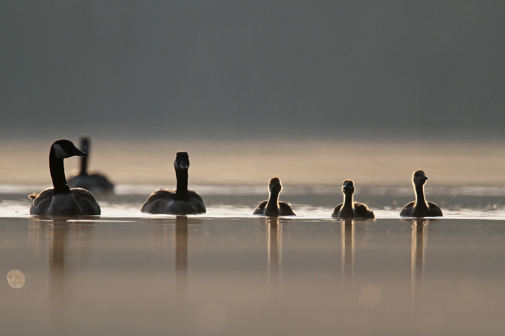 Familienausflug