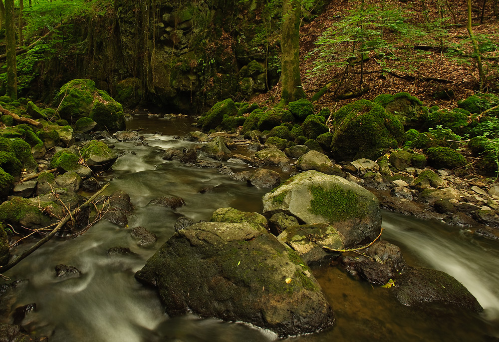 Wasser-Steine-Wald