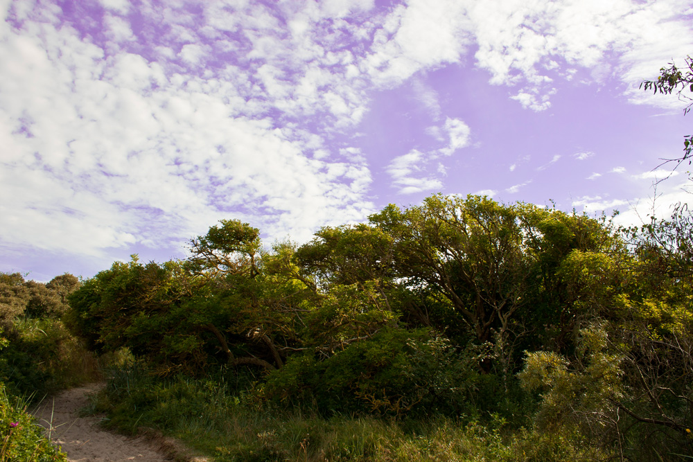 Weg zum Strand