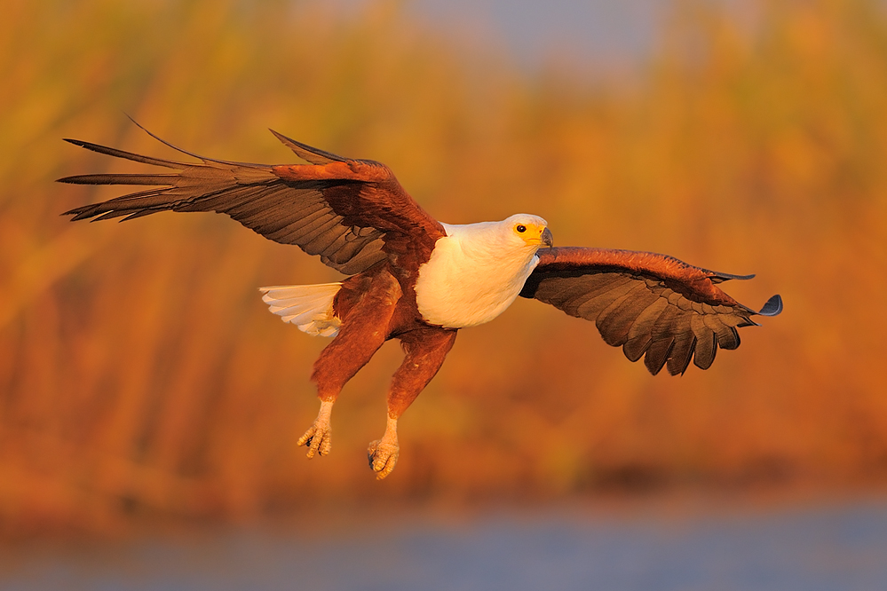 Anflug bei Sonnenaufgang