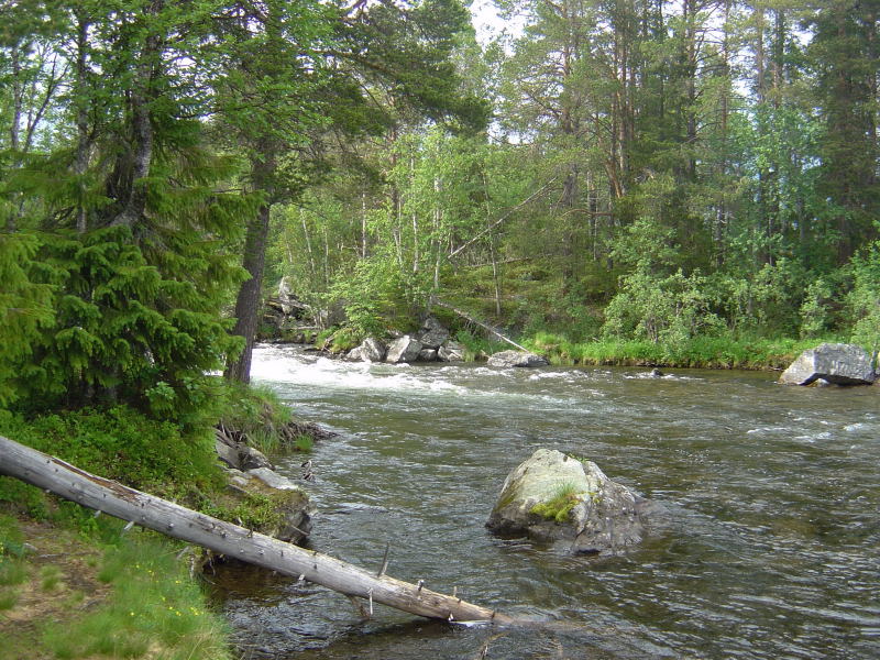ND Skärkan