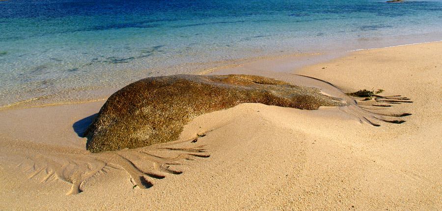 am Strand