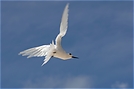 Flugstudie ND