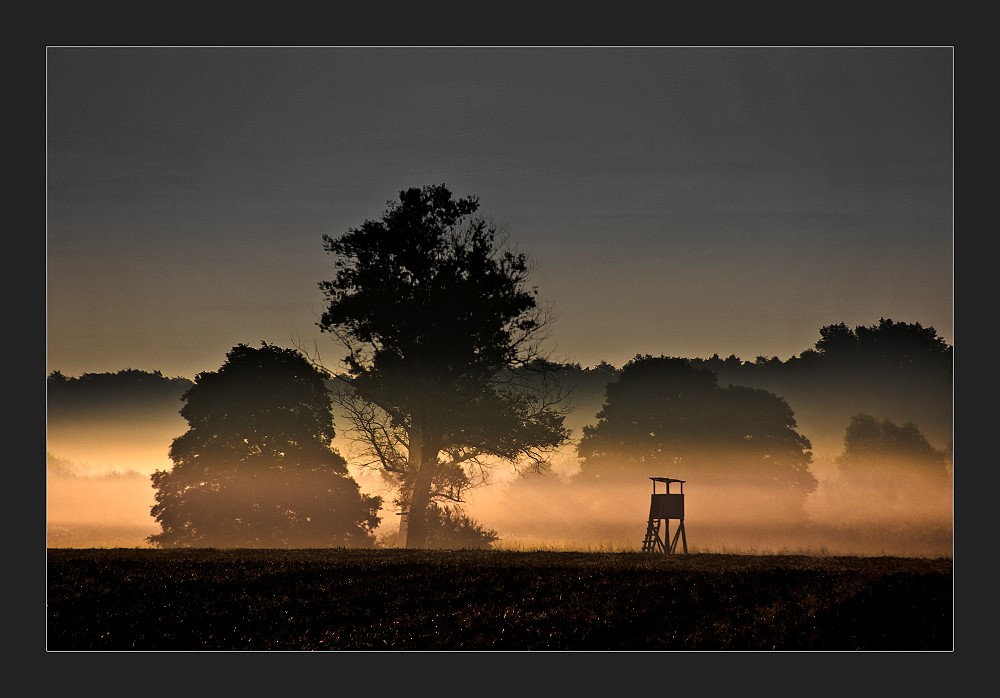 leuchtender Nebel