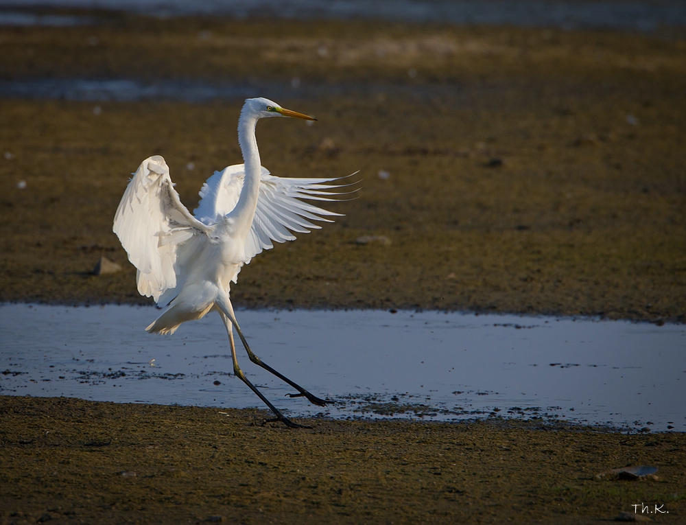 Grazieler Anflug