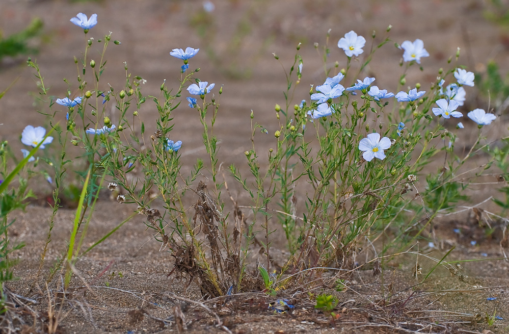 Himmlisches Blau über Sand und Schotter...