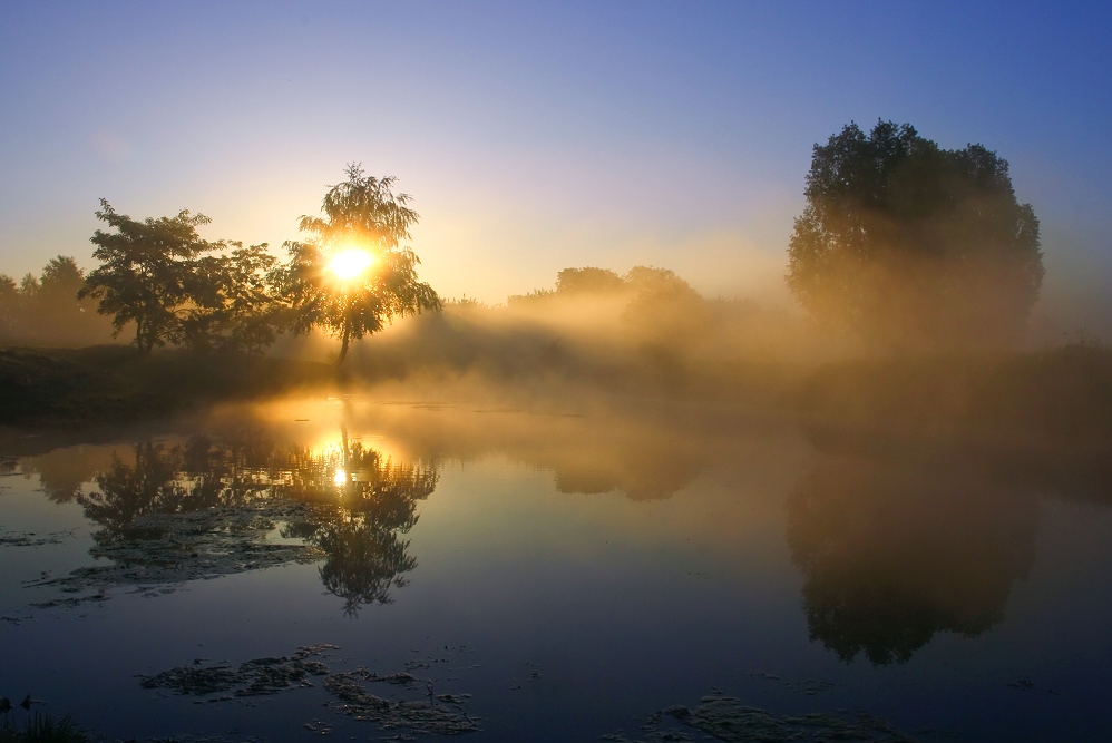 Nebel am See